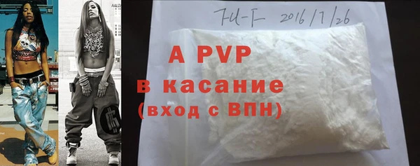 ешки Алексин