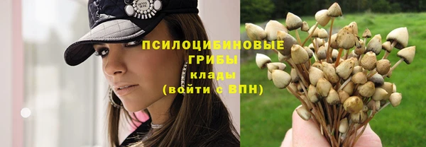 каннабис Алзамай