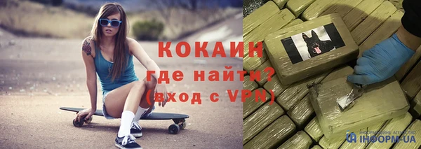 ешки Алексин