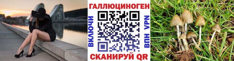 мориарти какой сайт  Сольвычегодск  Галлюциногенные грибы прущие грибы 